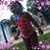 Shavon Buckley's profile image