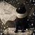 Louisa Brannan Evans's profile image