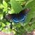 Cathy Oddo McQuillan's profile image