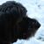 Michelle Svede's profile image