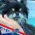 Tommy Brug's profile image
