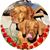 Adriana Urbanczyk's profile image