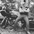 William Bread BeauSoleil's profile image
