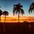 Joann Pfender's profile image