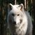 Betty Helland's profile image
