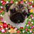 Kathy Lupo's profile image