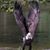 Diana Idzi's profile image