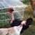 Mary Jane Weidner Hummert's profile image