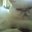 Kimberly Zipp's profile image