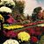 Judy Rondeau's profile image