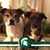 Jeannie Bauman's profile image