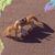 Cathie Lamphere's profile image