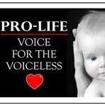 Jeannie Brown Ingaran's profile image