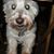Jean Marlow's profile image