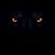 Terry Cooper's profile image