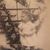 Dinah Creswell's profile image