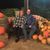 Jeri Lynn Robbins's profile image