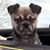 Iain McCormick's profile image