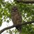 Janet Honaker's profile image