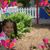 Elizabeth Carson Confair's profile image