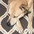 Julie Benoit's profile image