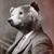 Jeff Jeremysdad's profile image