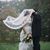 Kristen Bednarz's profile image