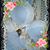 Laura Mansilla's profile image