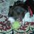 Jim Brenneman's profile image