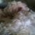 Fuzz Longman's profile image