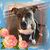 Sandra Moreland Patterson's profile image
