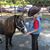 Nancy Child Dunn's profile image