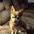 Cathy Johnston Dunbar's profile image