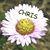 Ingrid Rteest's profile image