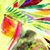 Anupam Das's profile image