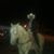Chava Munoz's profile image