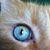 Wendy Hendricks's profile image
