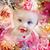 Dale Sturgill's profile image