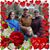 Amanda Orris Kerr's profile image