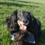 Tracey Wojciechowski Neblett's profile image