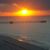 Shirlene G. Kiggen's profile image