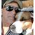 Tom Joslin's profile image