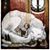Terry Simpson Zeabart's profile image