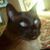 Margaret Toupin's profile image