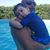 Yady Henriquez-Moncayo's profile image