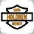 WS Holdren's profile image