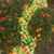 Marcia Bell Dixon's profile image