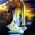 Tammy Loree's profile image