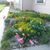 Debra Powrzanas's profile image