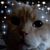 Jeanie Bodiford's profile image
